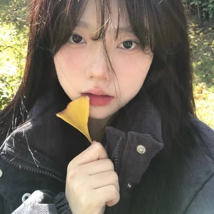 勇敢的翅膀